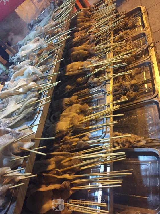 感谢网友对俺家胖子鱿鱼的支持