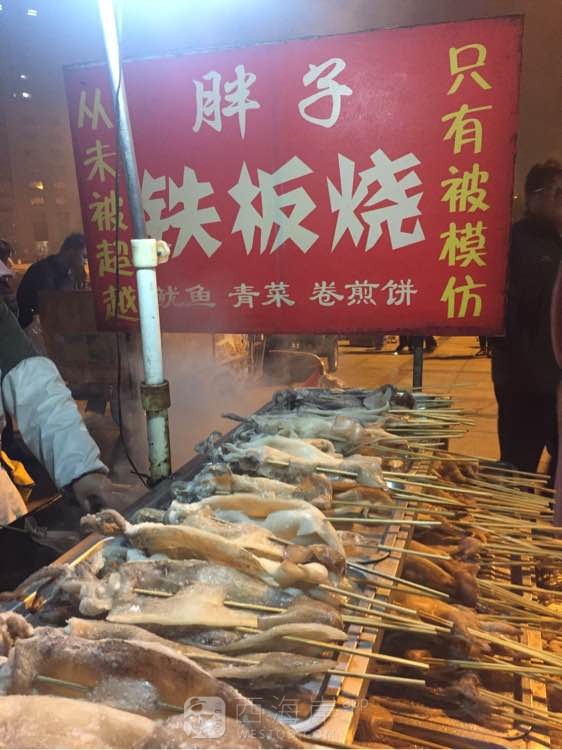 感谢网友对俺家胖子鱿鱼的支持