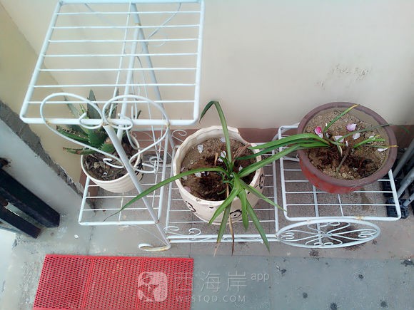 [同城交友]在最美的季节遇见你，青年公社咖啡摄影工作室期待与你的相遇。