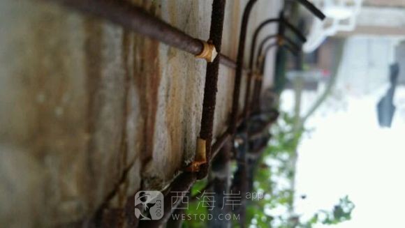 [旅游摄影]黄岛有青旅么，