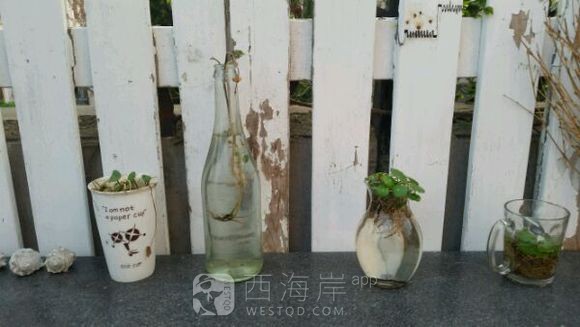 [旅游摄影]黄岛有青旅么，