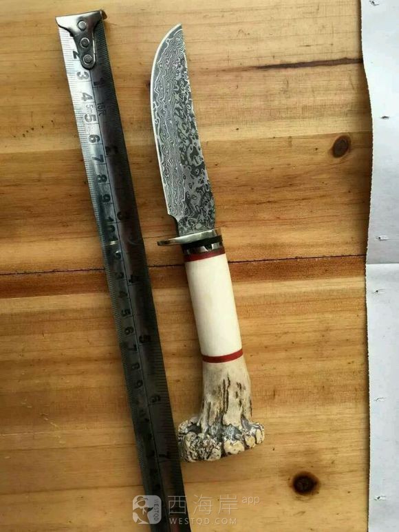 这儿
有送外卖的吗？加入你们怎么样