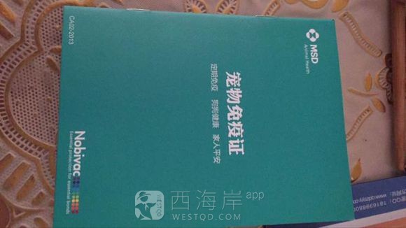 [宠物乐园]版主，吧务请手下留情
