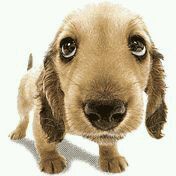 五一前后有胶南去沂南的私家车吗？俩个人求拼车