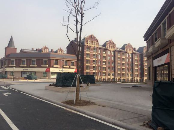 有没有知道中德生态园弗莱社区，个人房子出售的价格多少钱一平