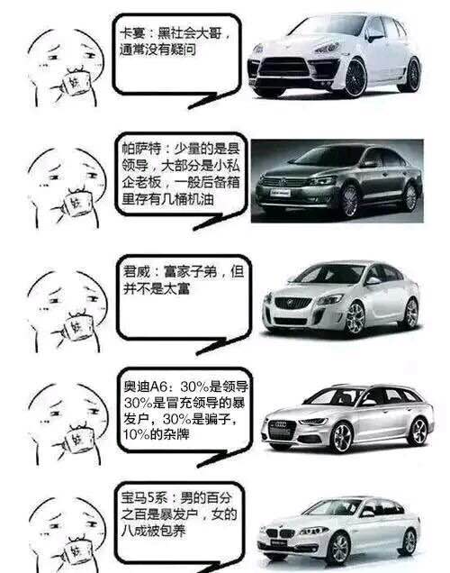 网友们都开什么车