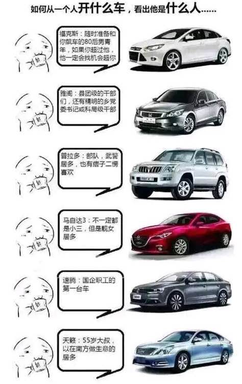 网友们都开什么车