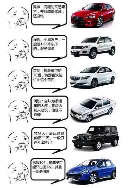 网友们都开什么车