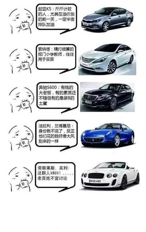 网友们都开什么车