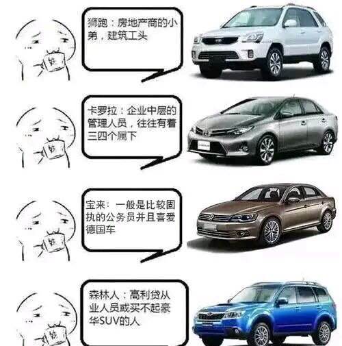 网友们都开什么车