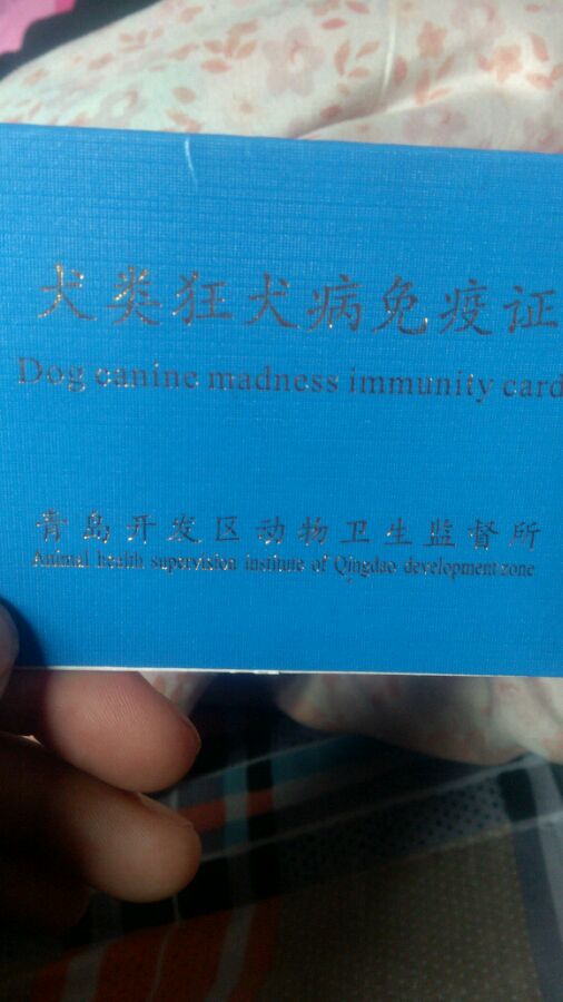 小虎，你的证掉了