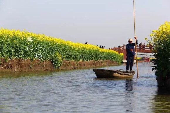 一起去看油菜花吧~~~