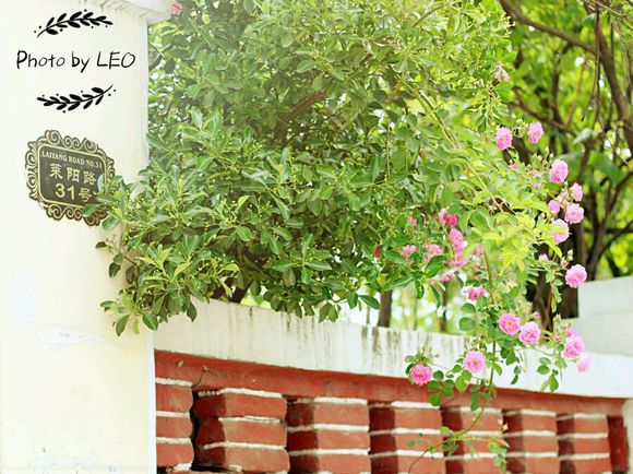 推荐几个黄岛拍照好看的地方吧。。周末想去拍点照片。。