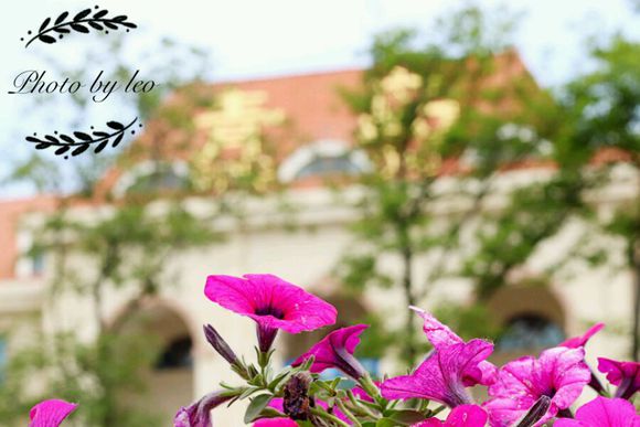 推荐几个黄岛拍照好看的地方吧。。周末想去拍点照片。。