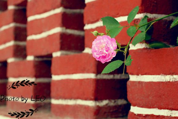 推荐几个黄岛拍照好看的地方吧。。周末想去拍点照片。。