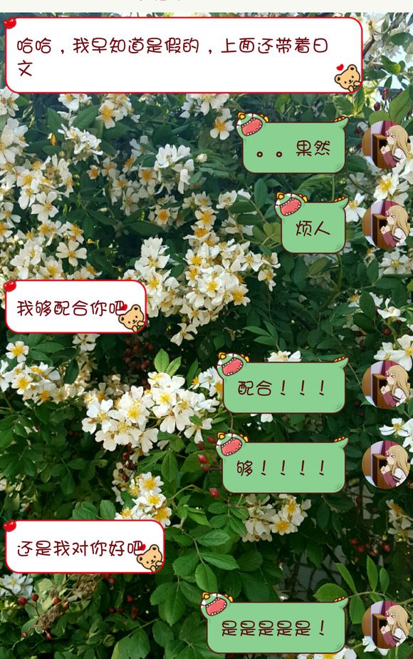 君生我未生我生君已老