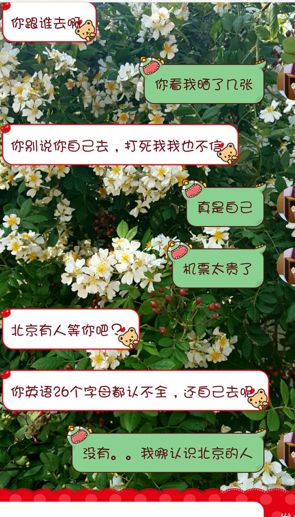 君生我未生我生君已老