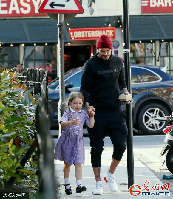 总有一款适合你的。