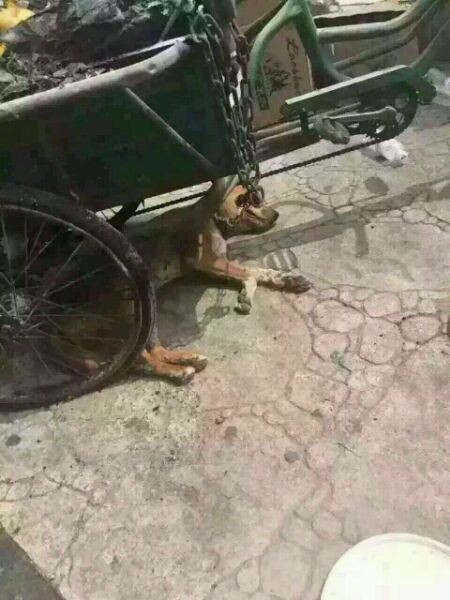 拾荒老人的故事