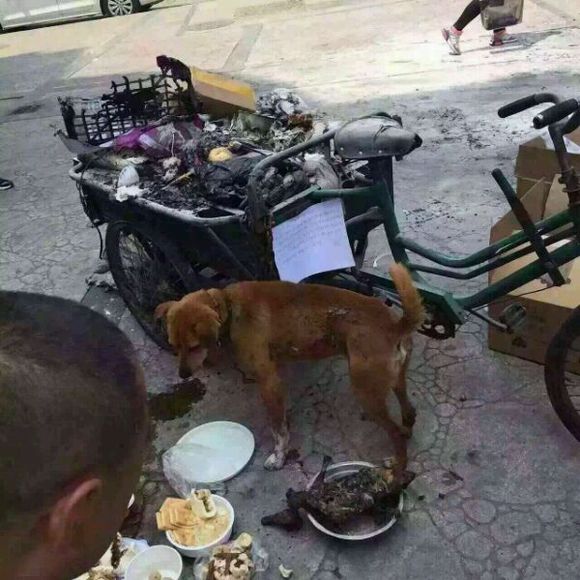 拾荒老人的故事