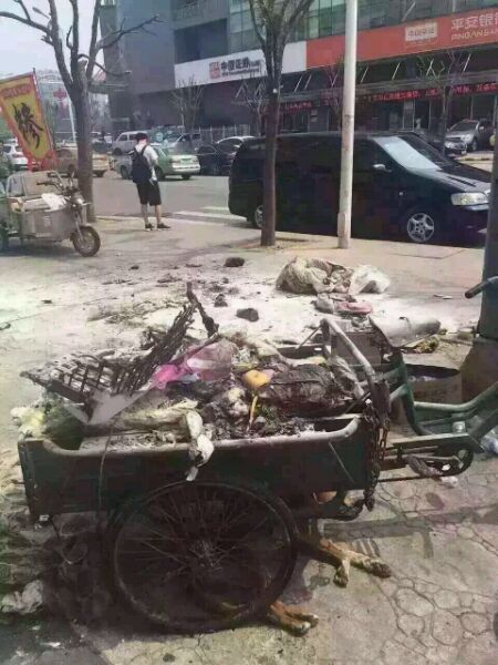 拾荒老人的故事