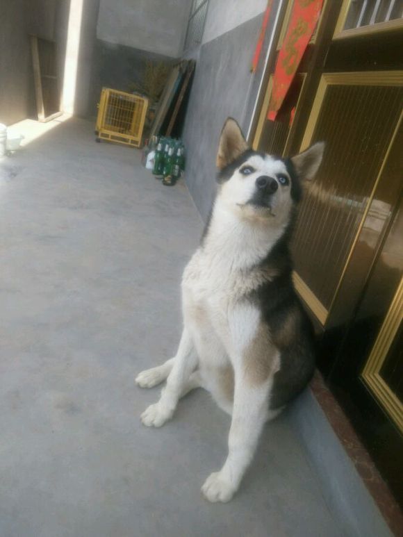 想回黄岛了  怎么办