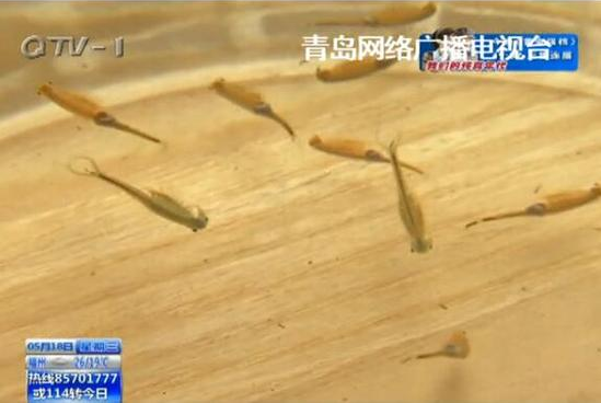 QQ截图20160531122516.png