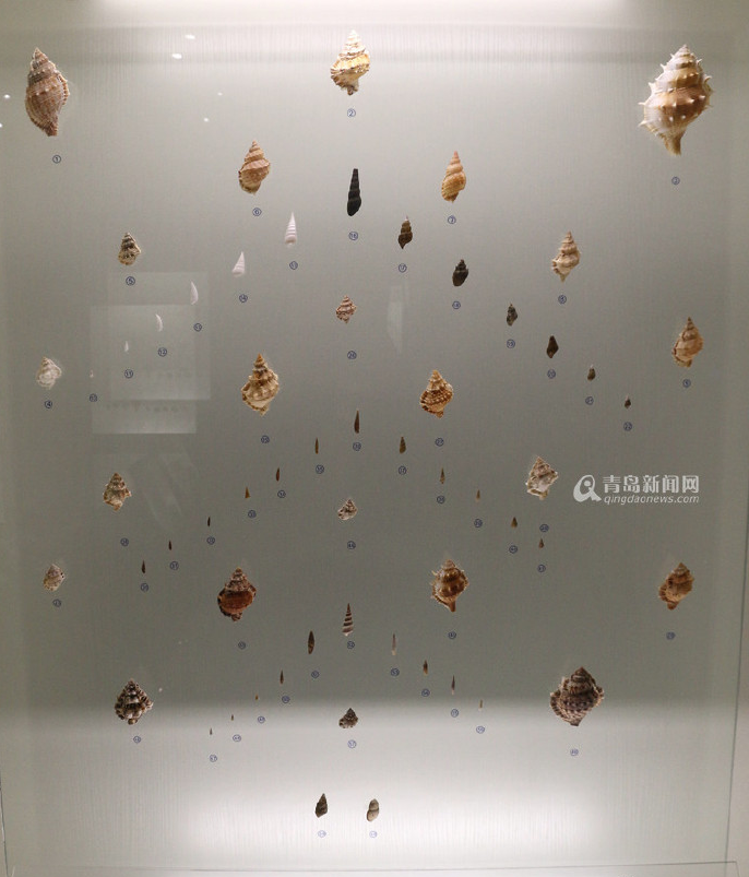 QQ截图20160531123205.png