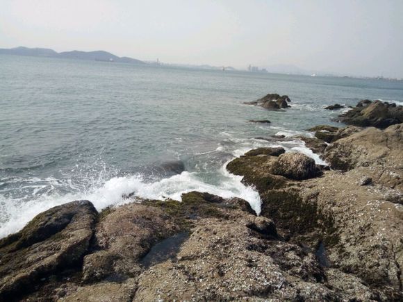 青岛。黄岛再见，。。。