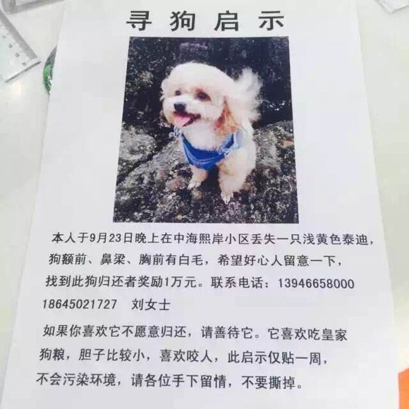 寻狗启示，求大家帮帮忙