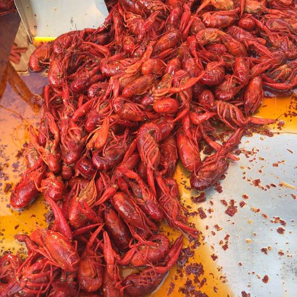 我是不是应该开个帖子叫今天吃什么。