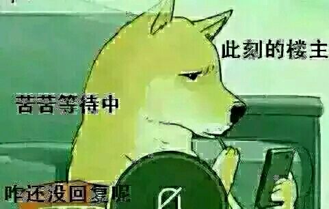 有谁知道黄岛哪有宠物领养的地方啊