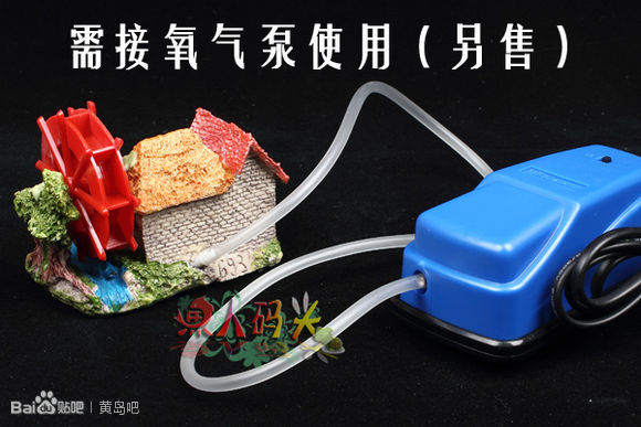 养金鱼，需要增氧？需要买什么东西？