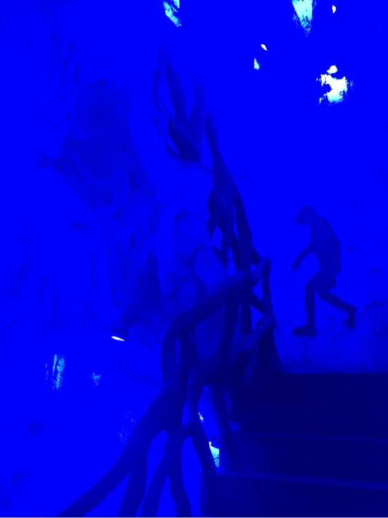 黄岛哪有卖摩托车的地方最好是有二手的