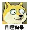 致个别司机，生命只有一次，开车不能儿戏！