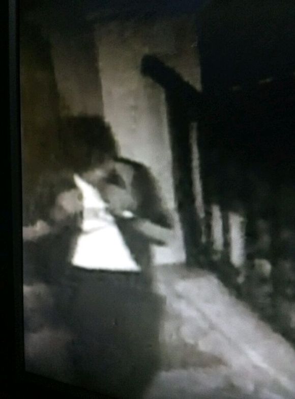 法网恢恢疏而不漏