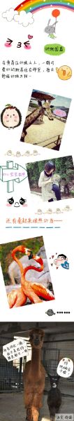 准备来青岛旅游的朋友们看这里