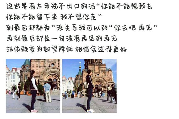 黄岛。不舍。