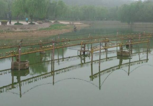 旱情在继续加重，双珠公园的湖快见底了……