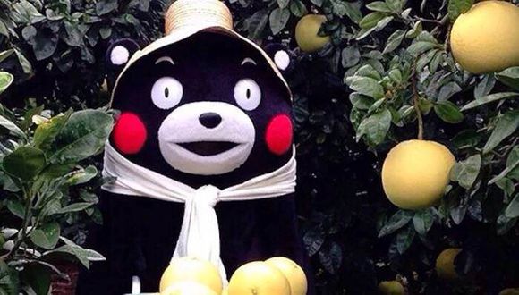 开发区现在什么地方可以吃野馄饨