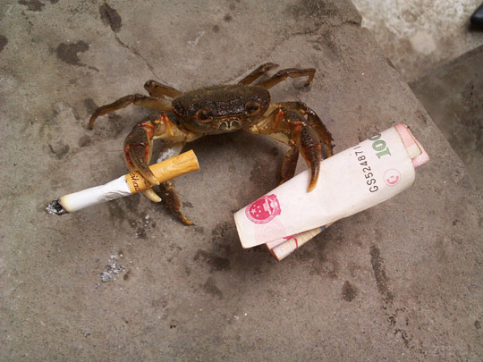 有没有朋友知道 荨麻疹 怎么治疗好呢～