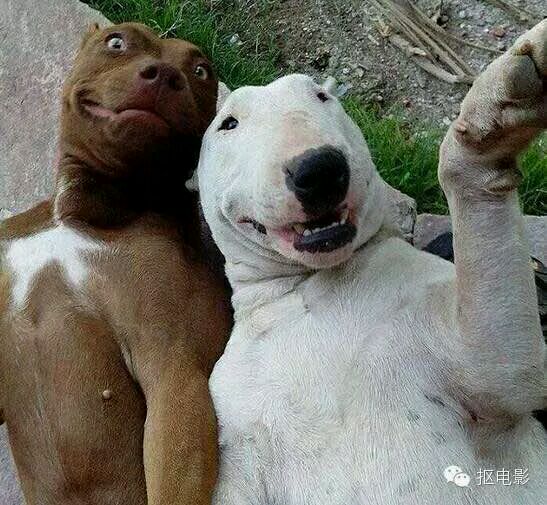 租个房子真费劲啊，网友来帮帮忙