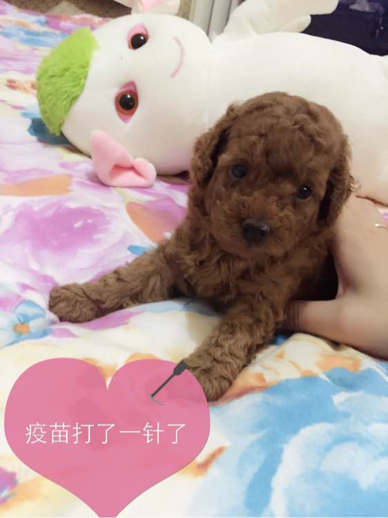 我今年24岁，当姥姥了，
