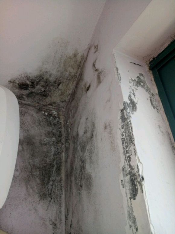 墙角发霉求装修大师