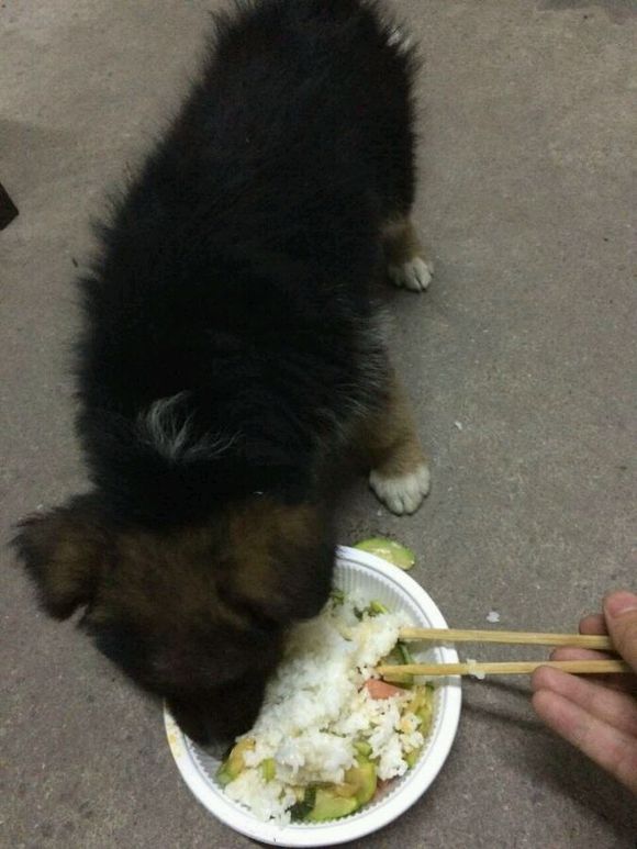 爱心接力！！急急急！！
