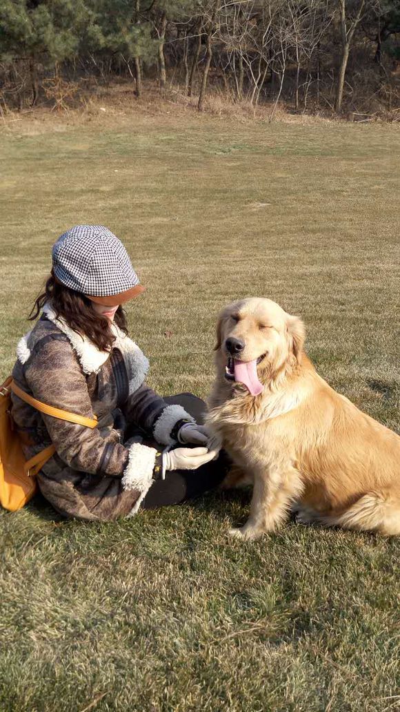 自家的金毛犬下崽了，有要的吗？便宜卖啦。