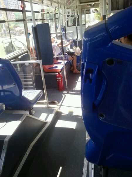 刚在46路上拍的，有认识的吗？