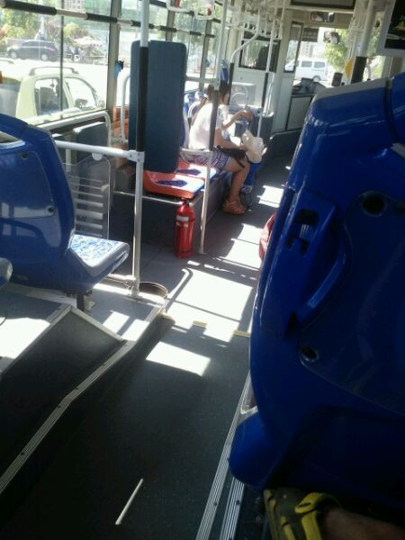 刚在46路上拍的，有认识的吗？