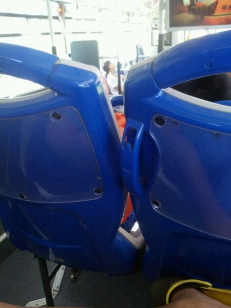 刚在46路上拍的，有认识的吗？