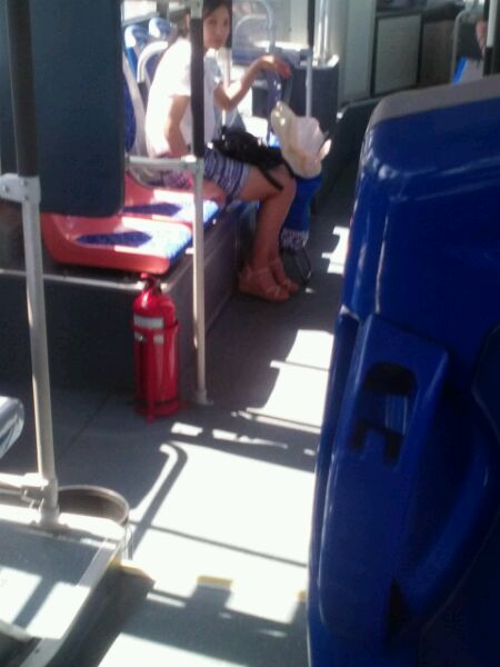 刚在46路上拍的，有认识的吗？